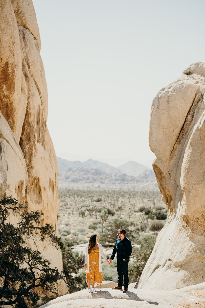 ENSAIO NO JOSHUA TREE